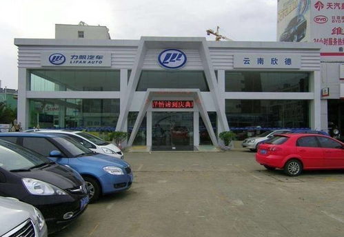 车主请擦亮眼睛 近年五大汽车销售公司跑路案件，新车秒变“黑车”